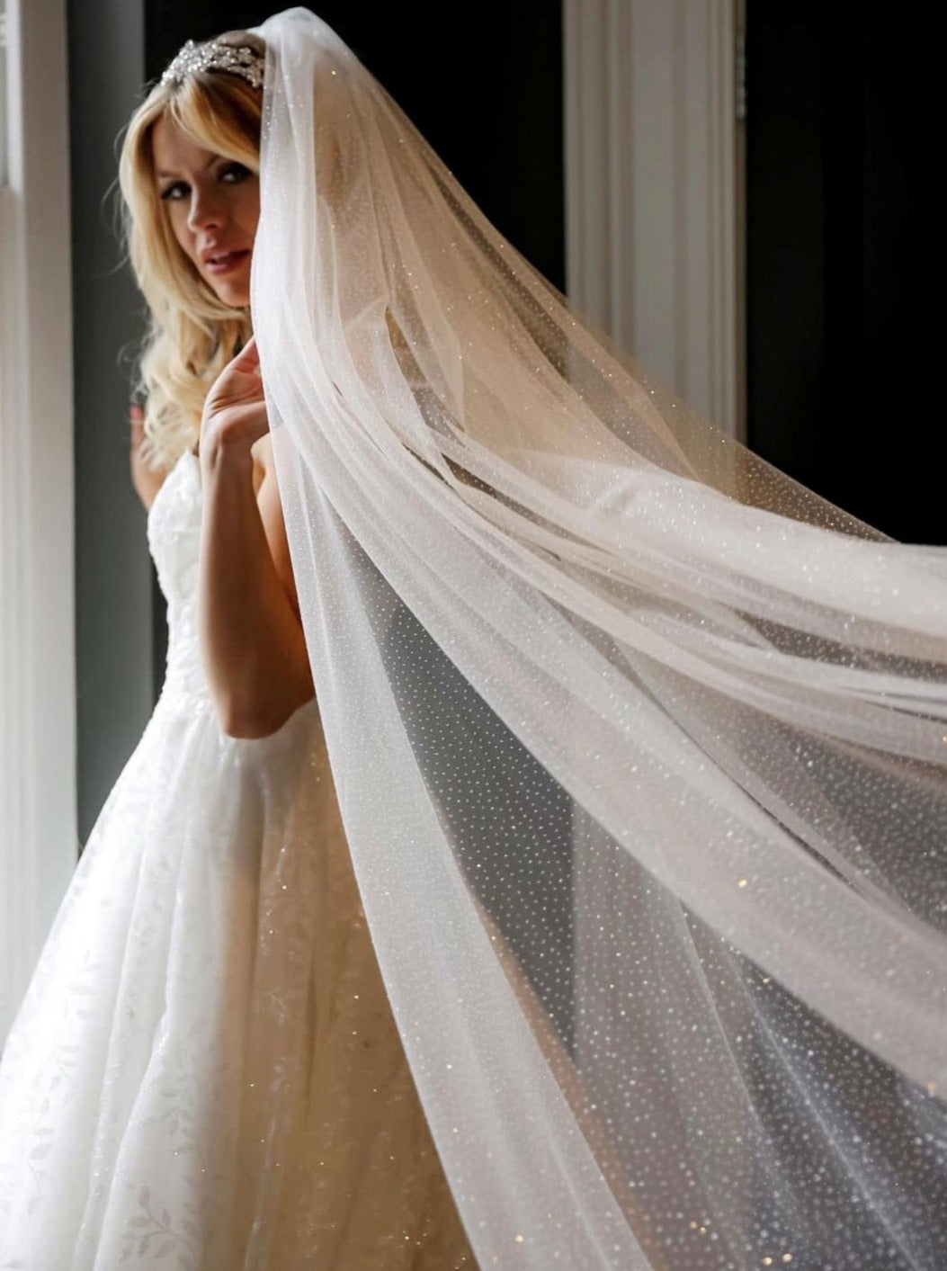 Sparkle Tulle Bridal Veil