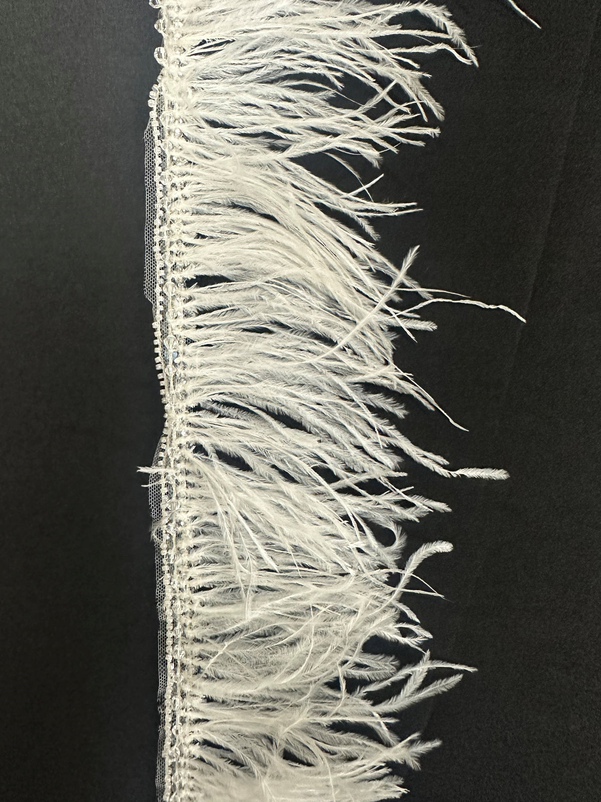 Feather Dress Trim - Asteria