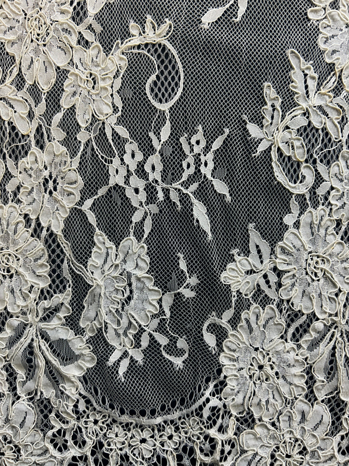 Ivory Corded Lace - Brogan