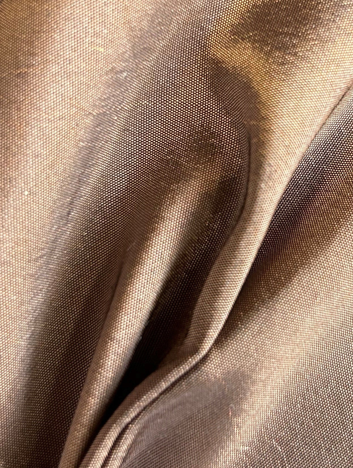 Brown Taffeta - Radiance