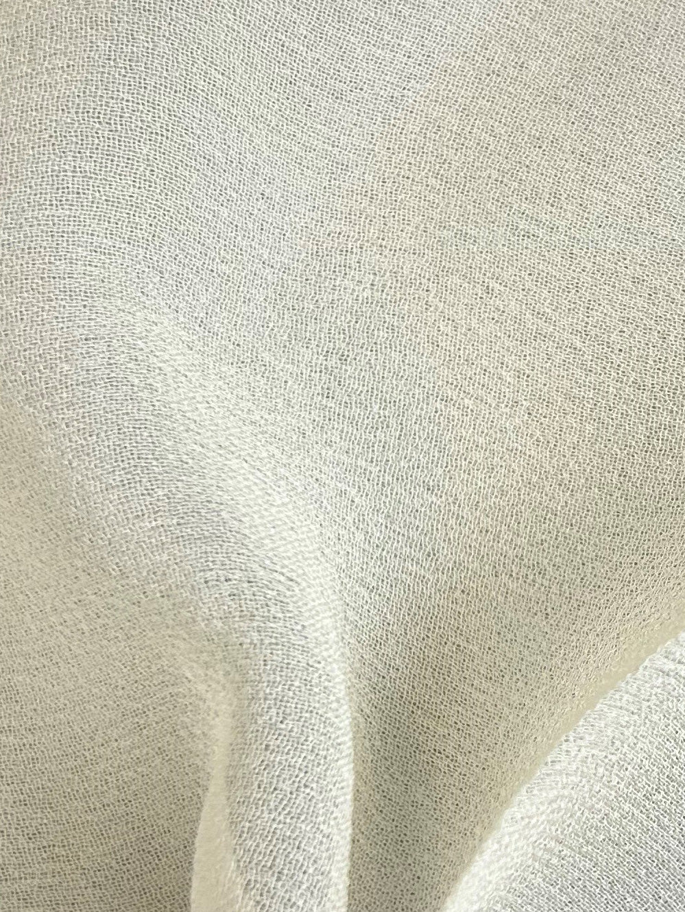 Cream Silk Georgette - Shimmer