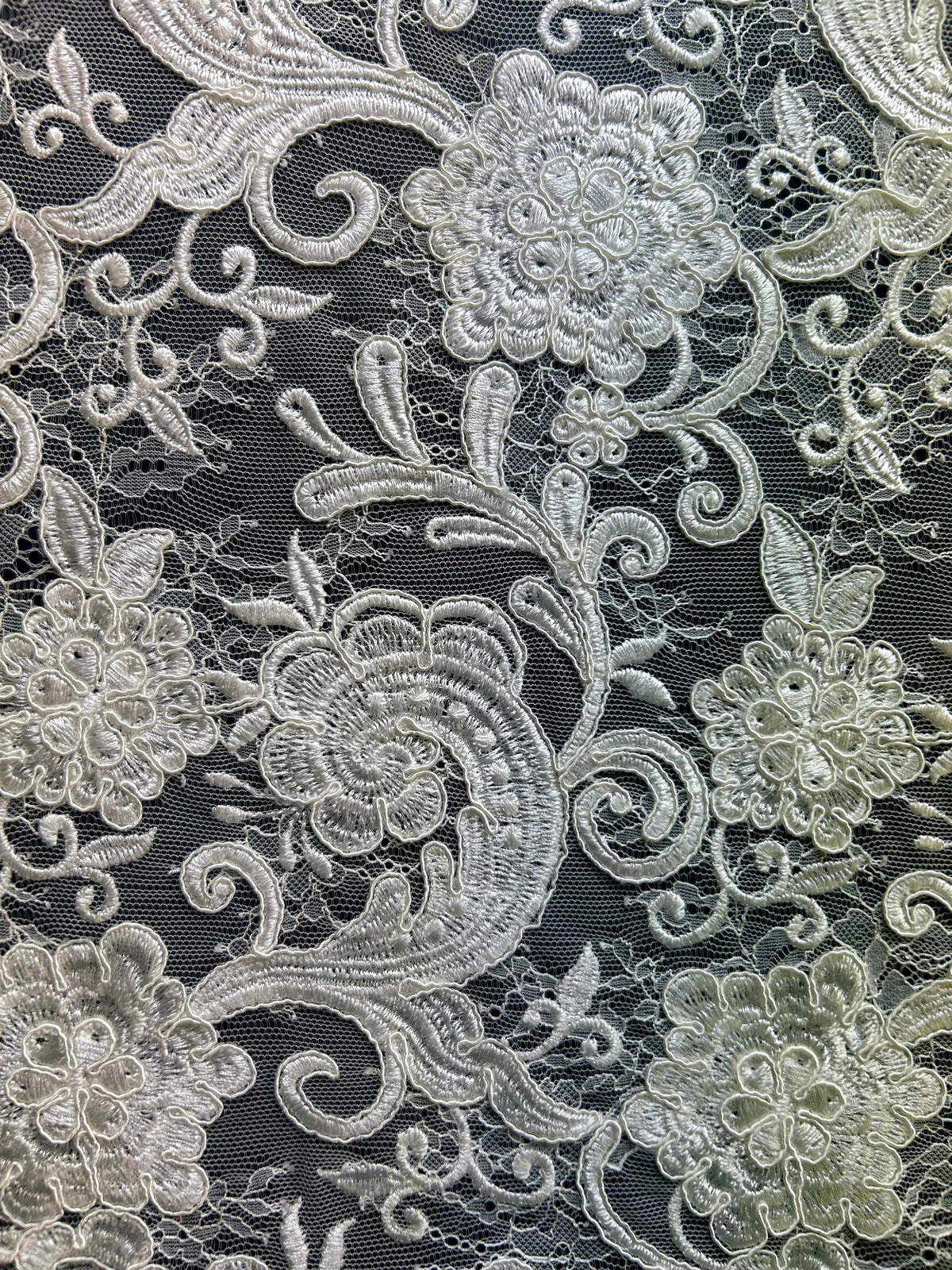 Ivory Corded Lace - Eden