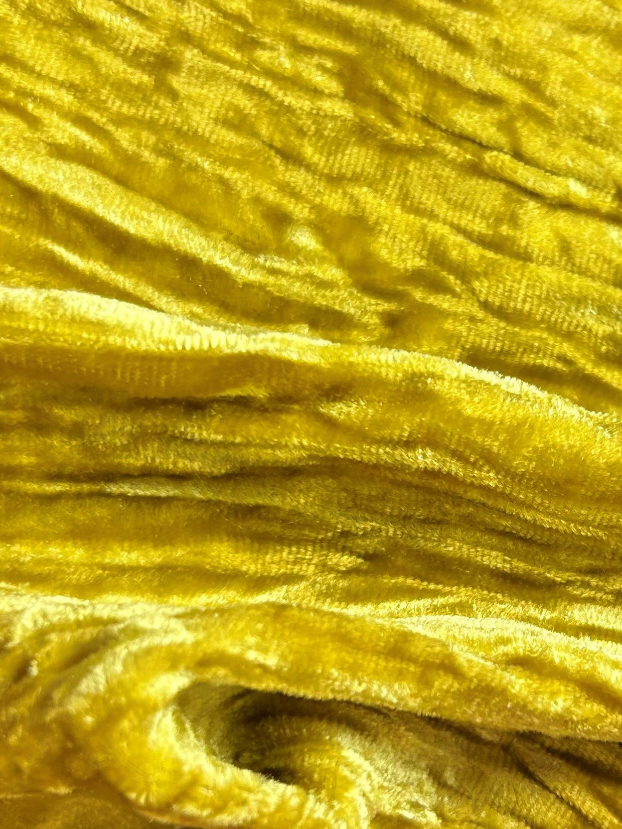 Gold Silk Velvet - Ruffle