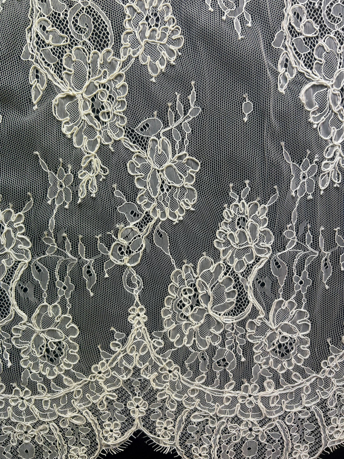 Ivory Corded Lace - Jasmine