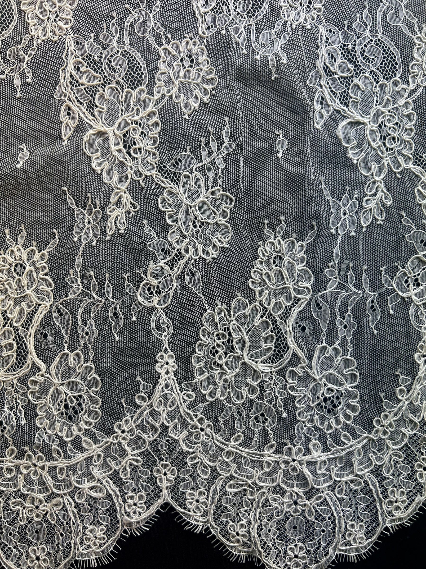 Ivory Corded Lace - Jasmine