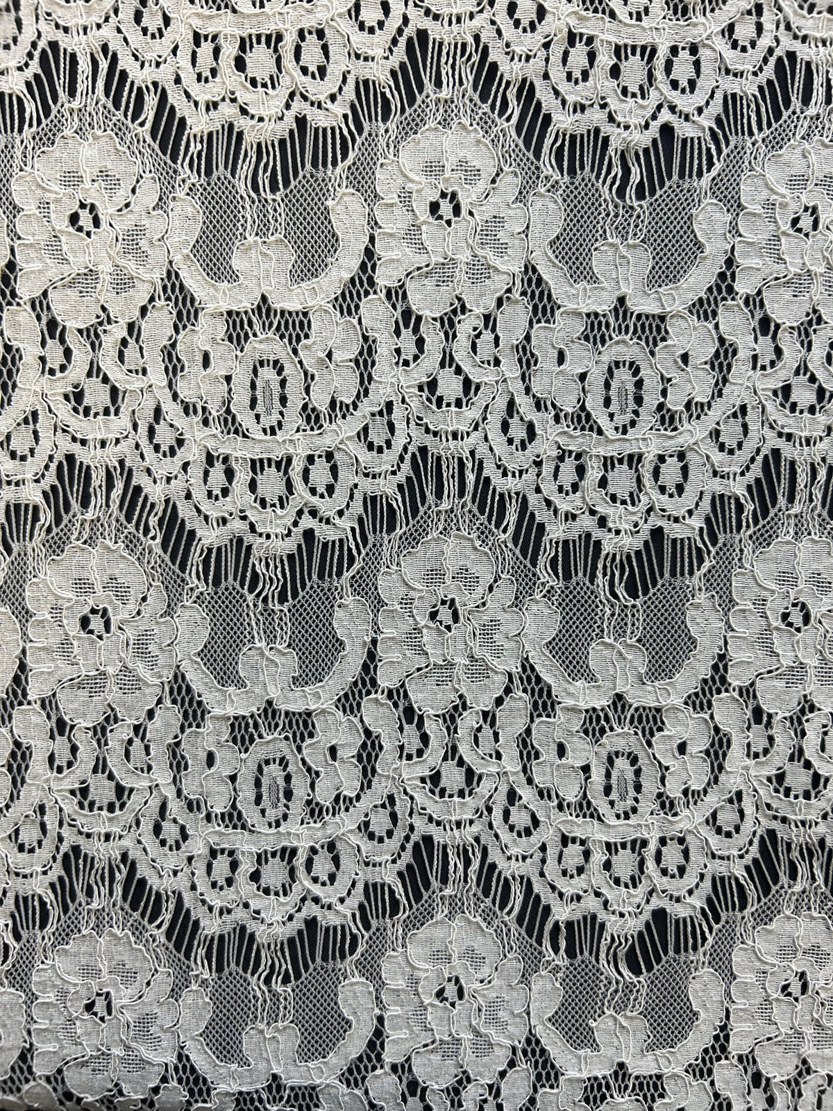 Ivory Corded Lace - Kennedy