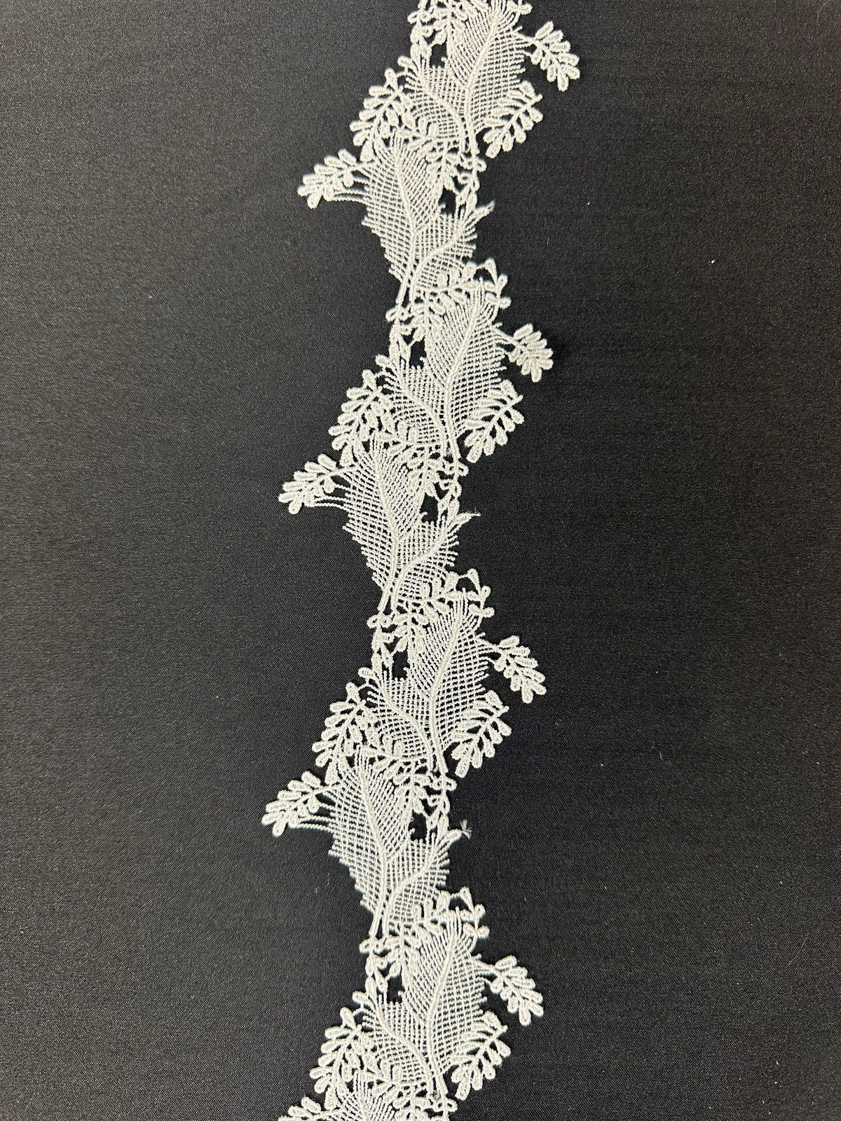 Ivory Lace Trim - Linden