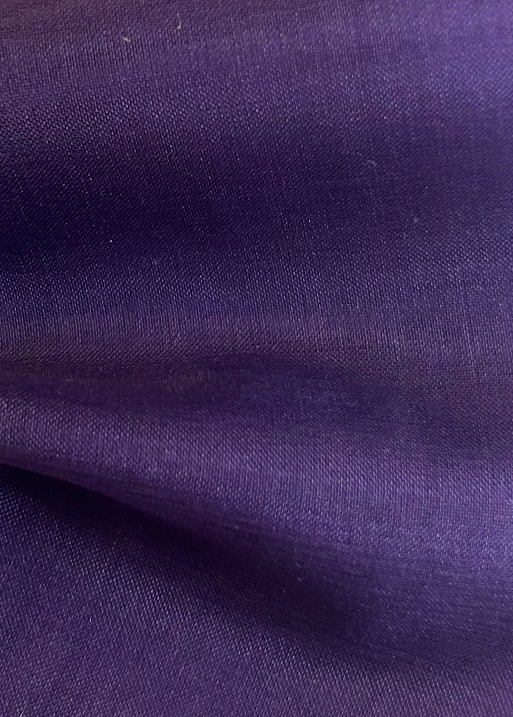 Purple Silk Organza - Evolution