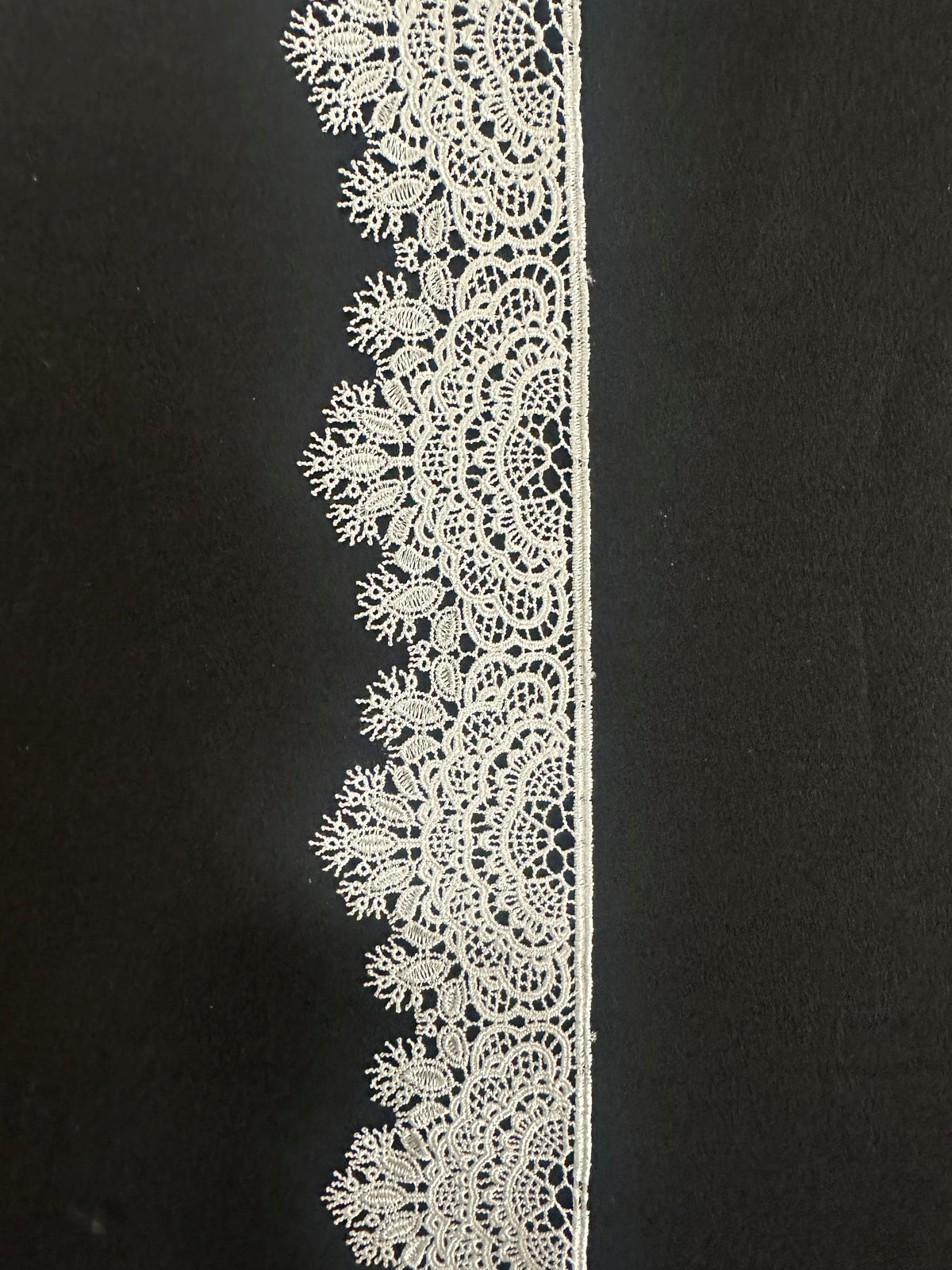 Ivory Lace Trim - Spruce