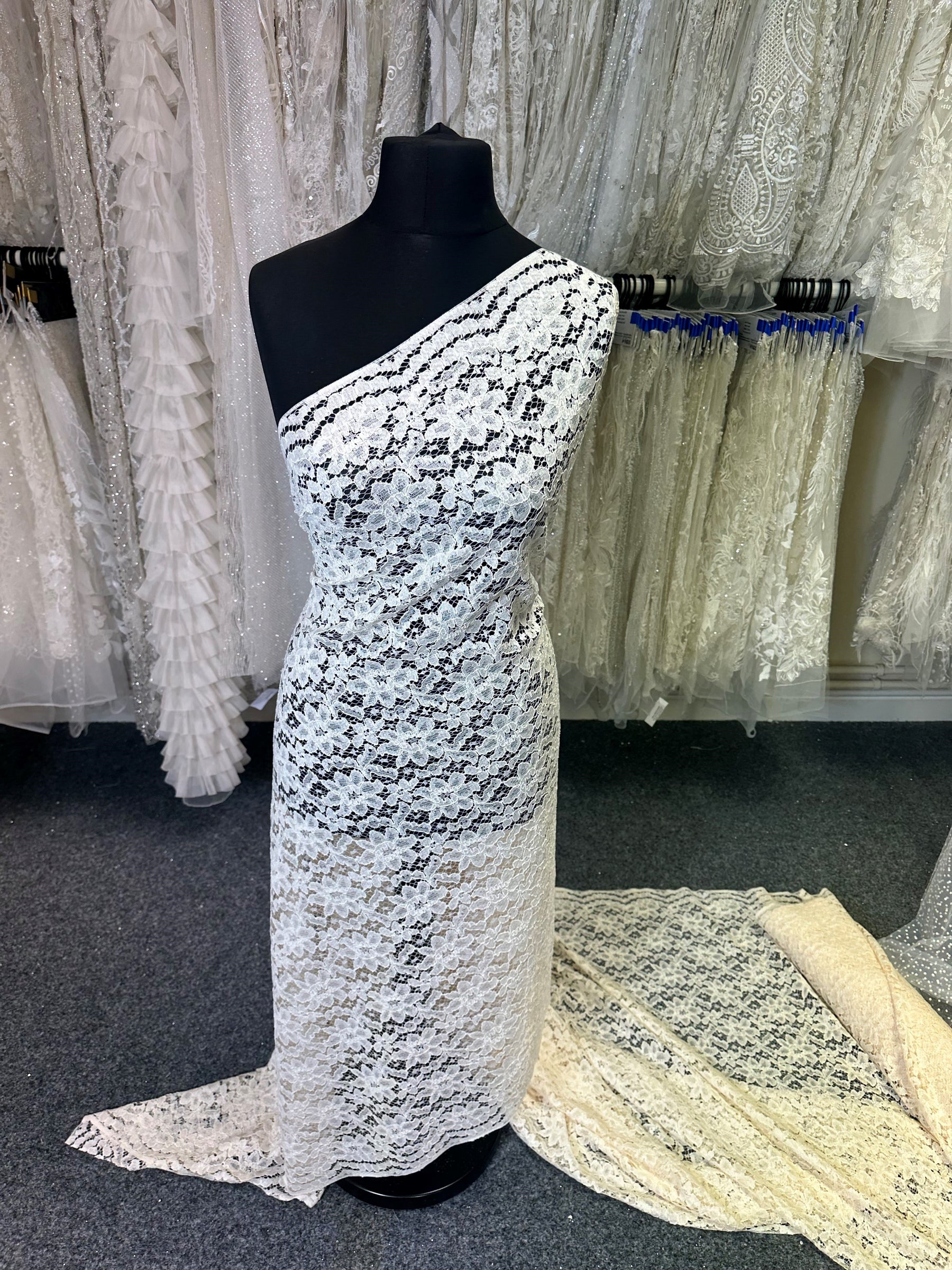 Champagne Corded Lace - Shannon