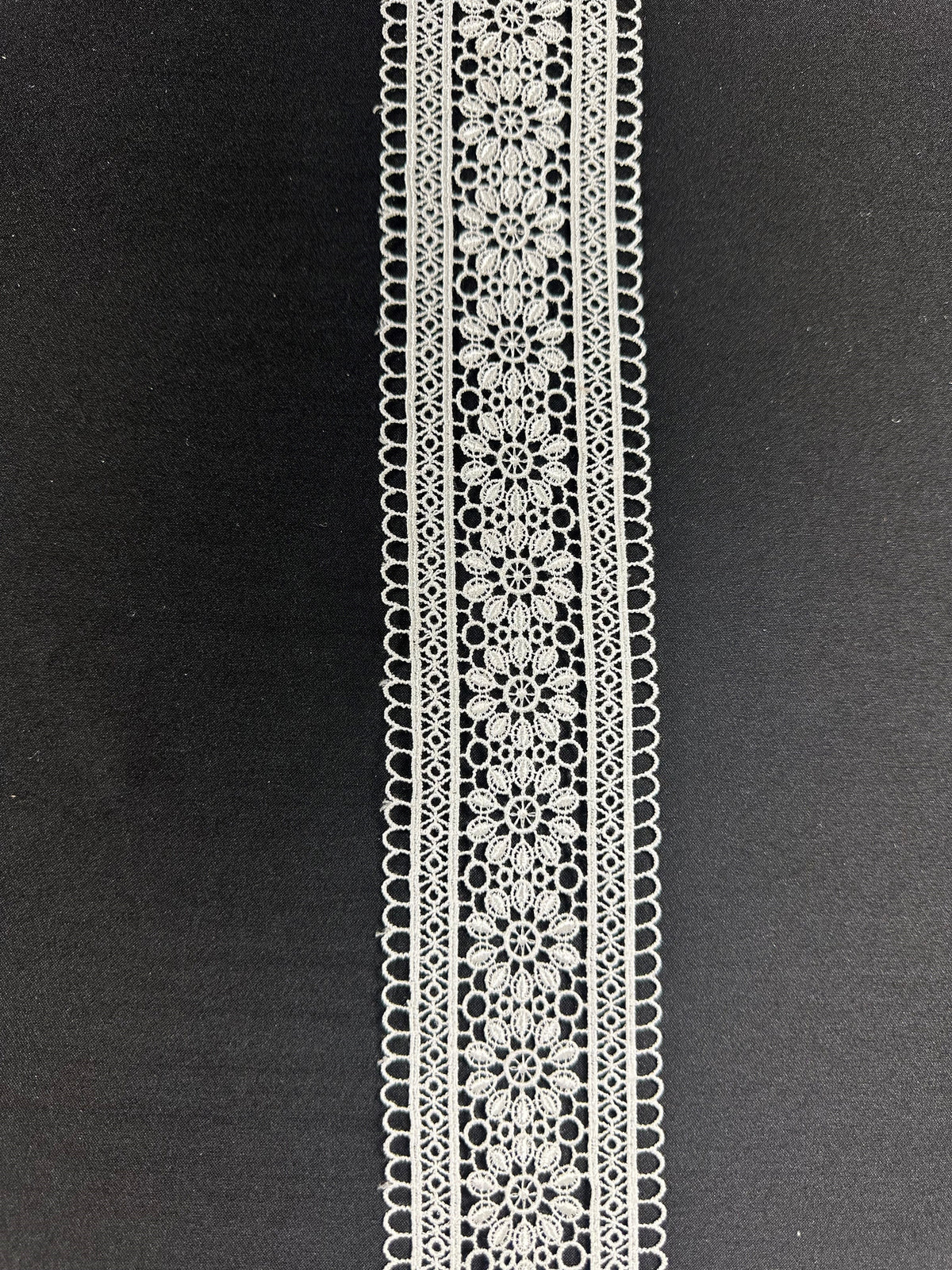 Ivory Lace Trim - Pine