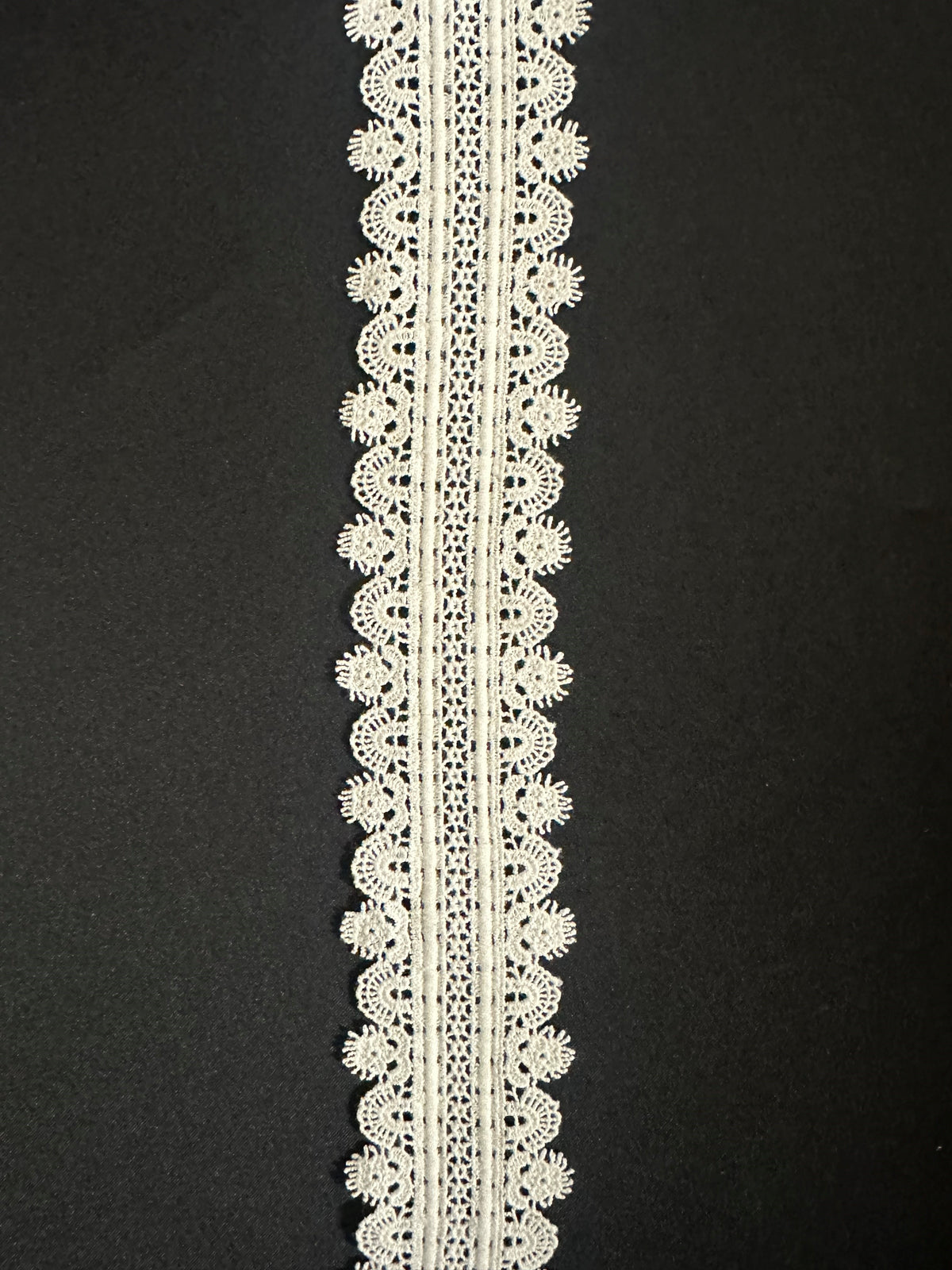 Ivory Lace Trim - Salamander