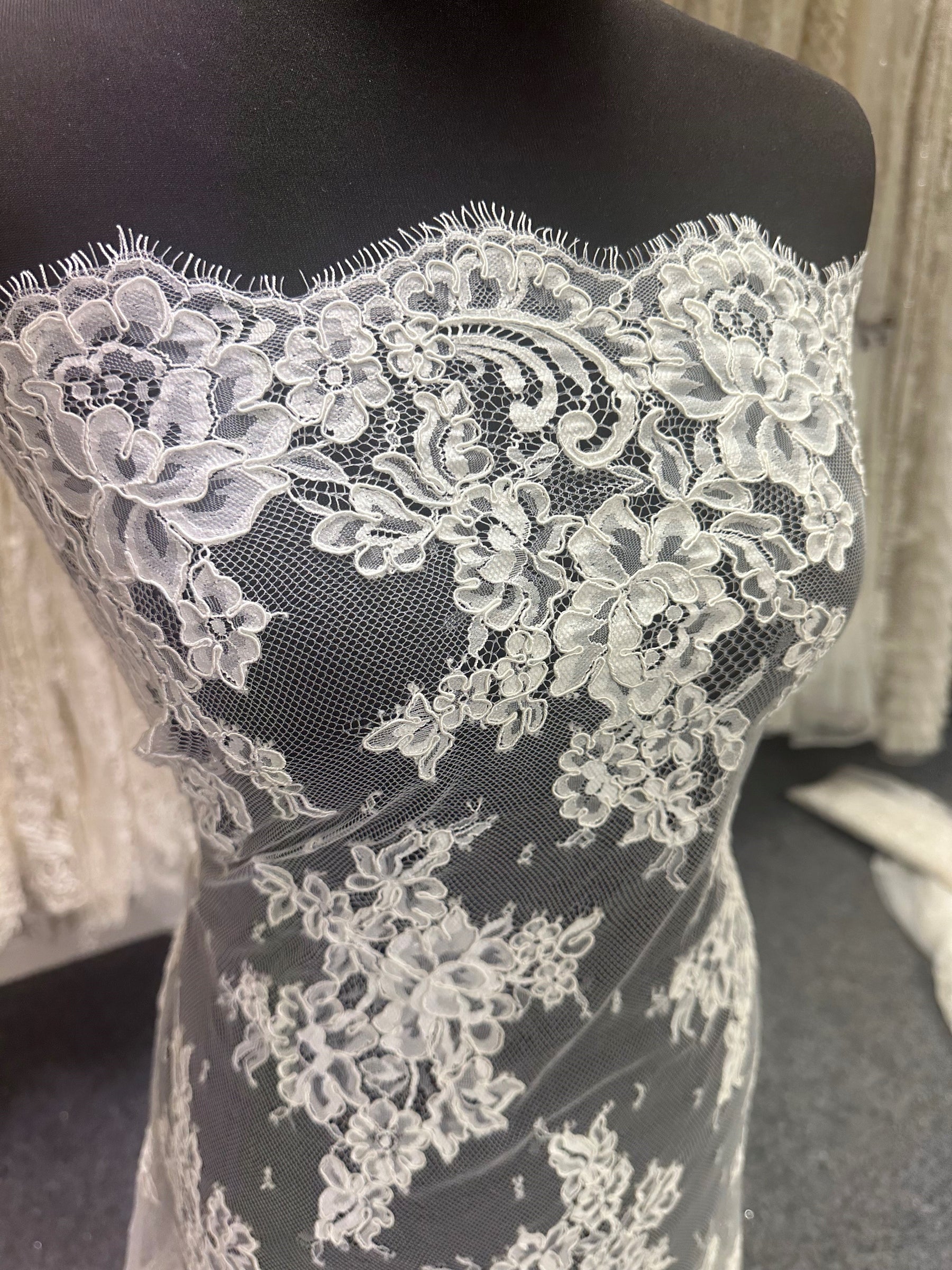 Ivory Corded Lace - Rhonda