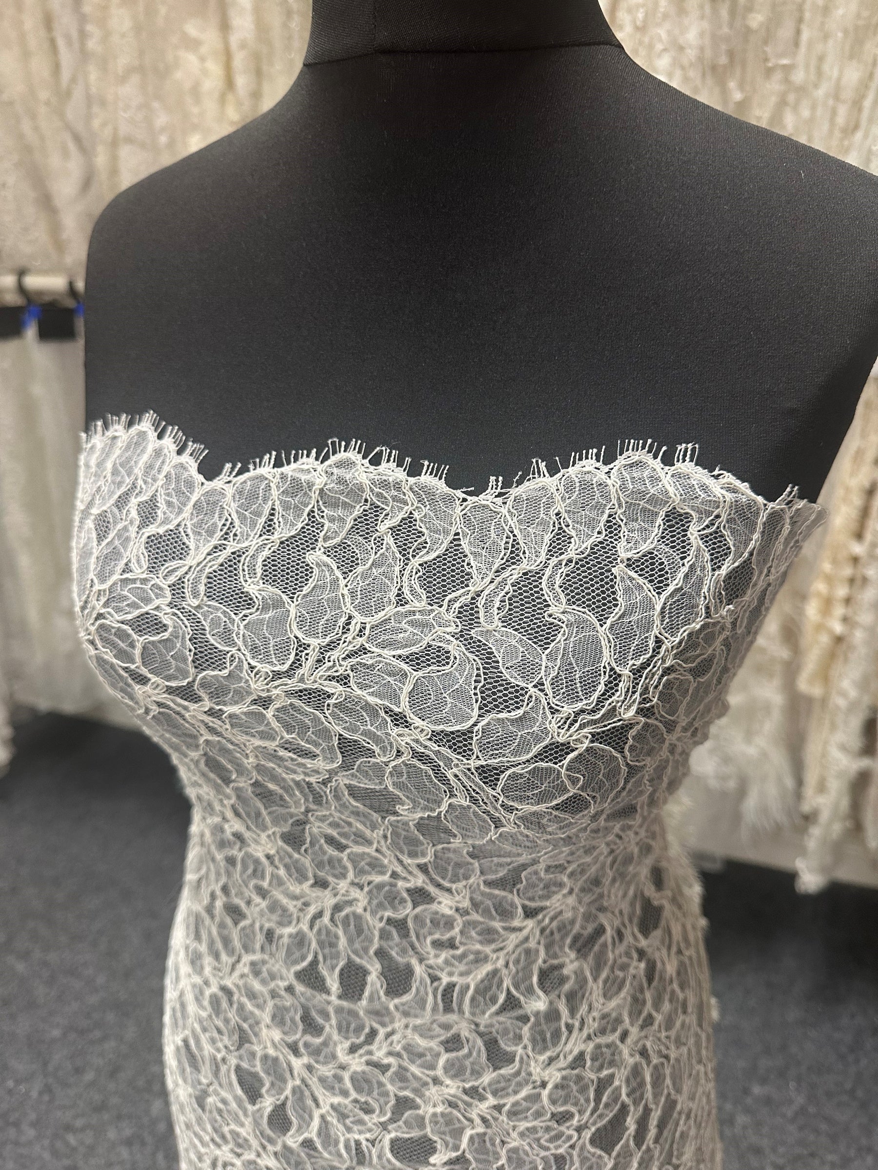 Ivory Corded Lace - Dimitra