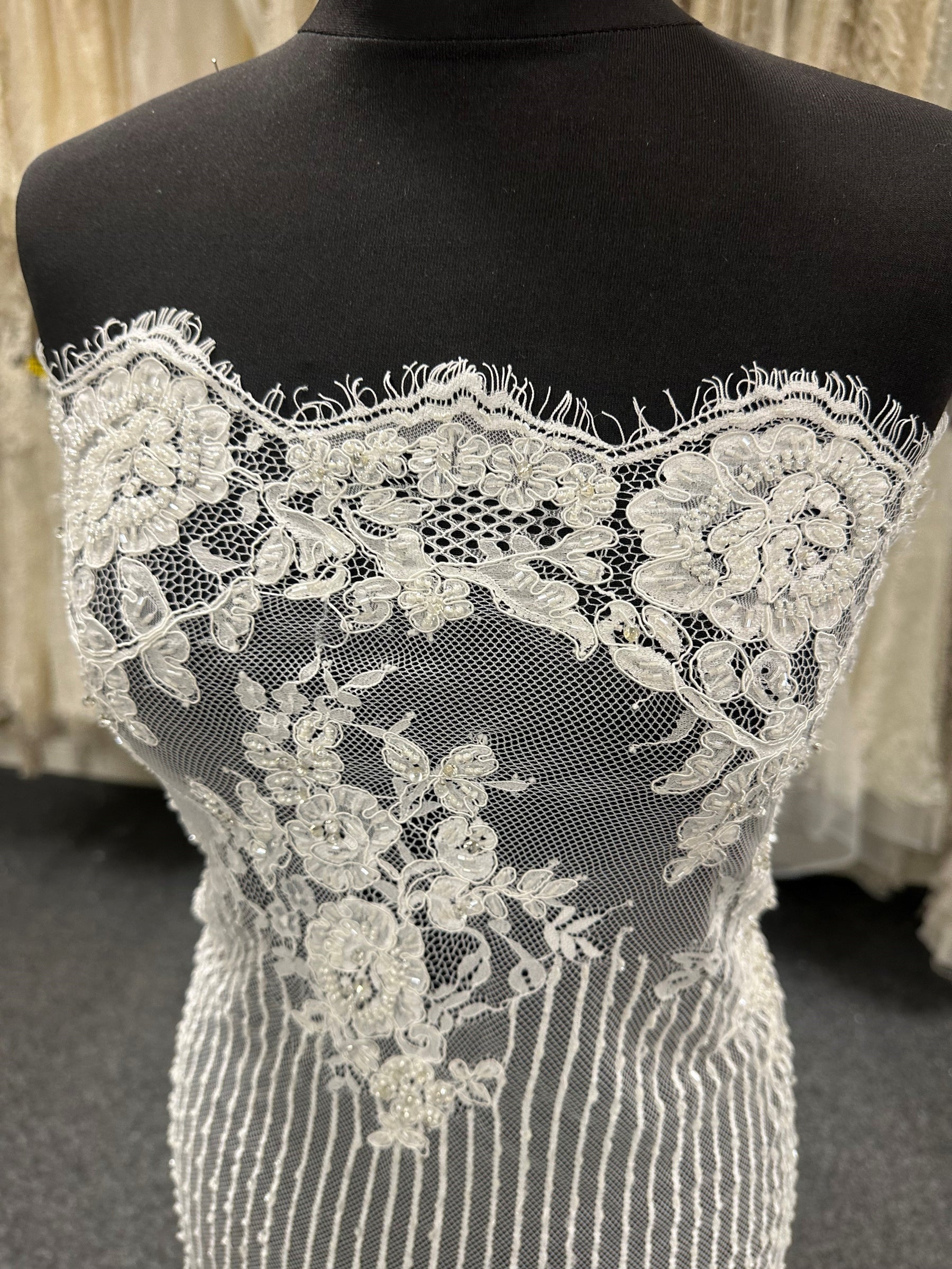 Ivory Corded & Beaded Lace - Iris