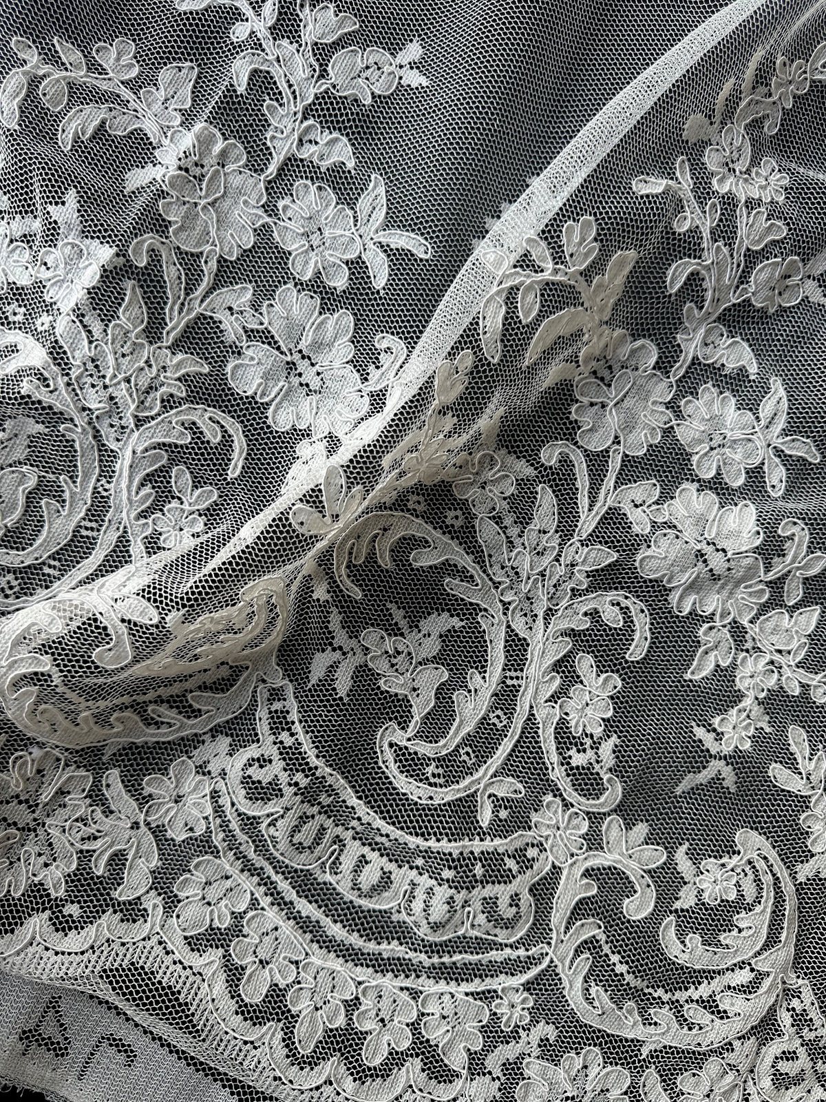 Ivory Corded Lace - Acantha