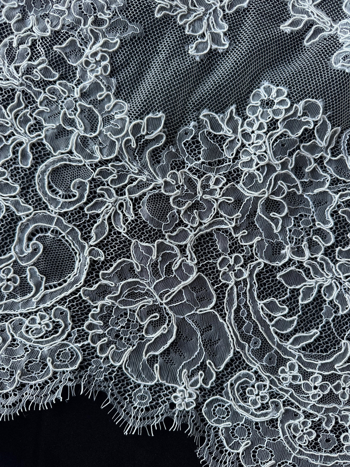 Ivory Corded Lace - Asher