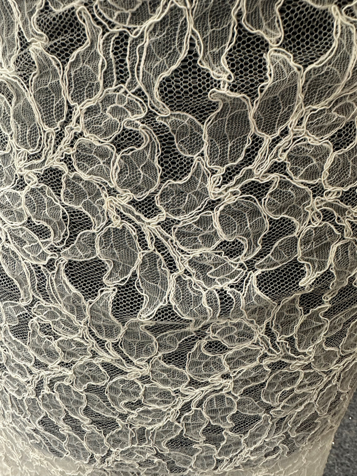 Ivory Corded Lace - Dimitra