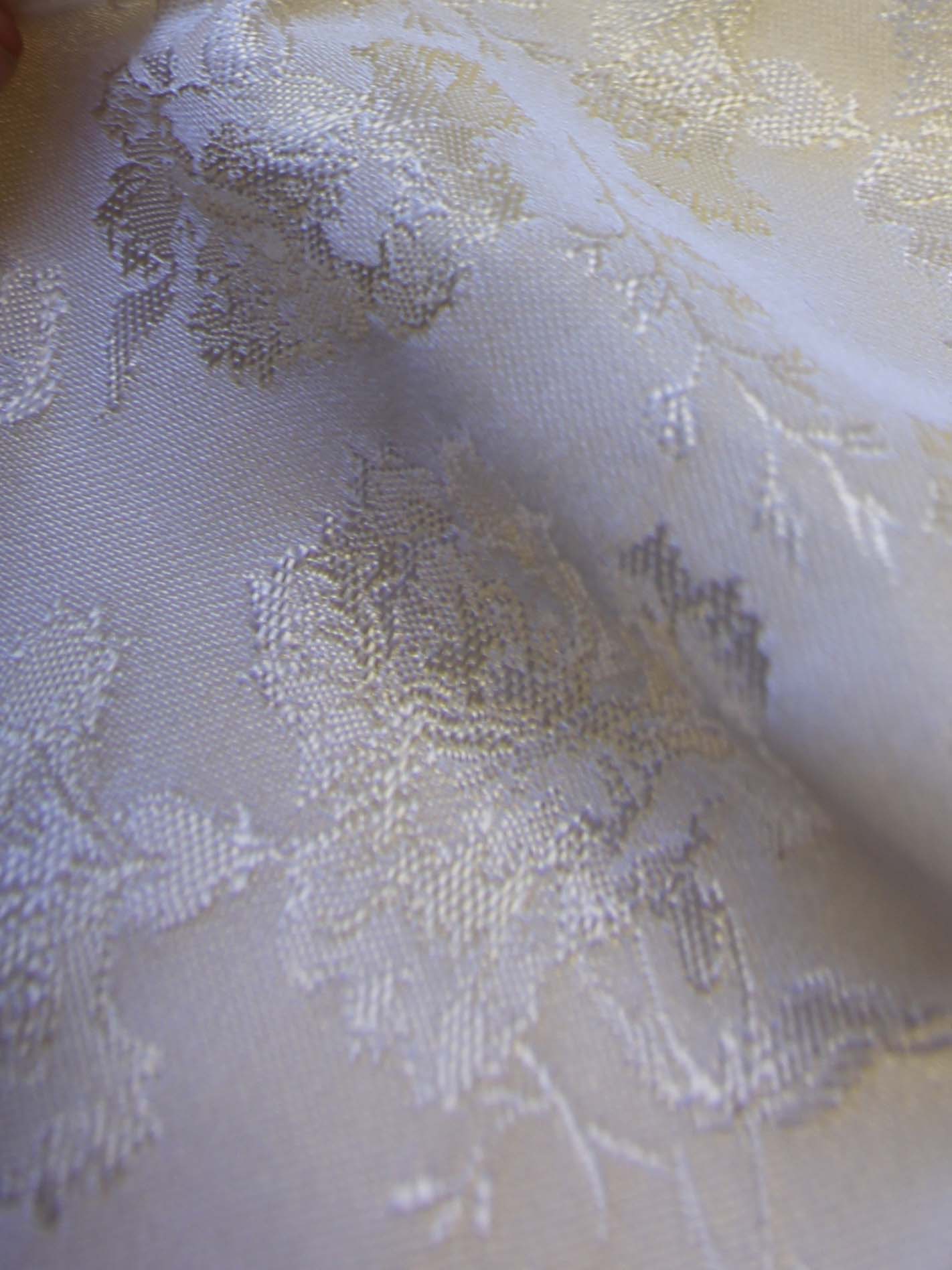 Champagne Jacquard Brocade - Cornwall