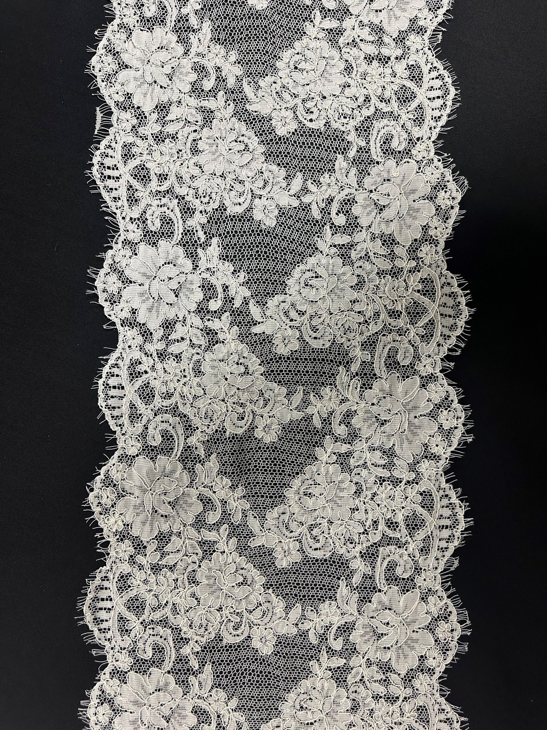 Ivory Corded Lace Trim - Calix