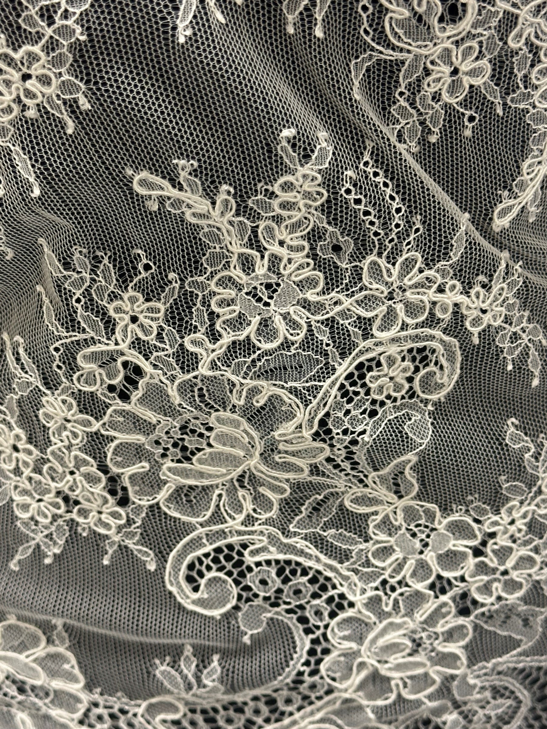 Ivory Corded Lace Trim - Camelia