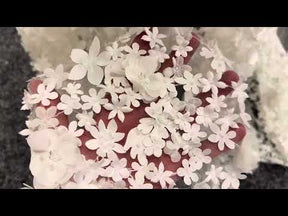 Ivory Beaded Floral Lace - Kesia