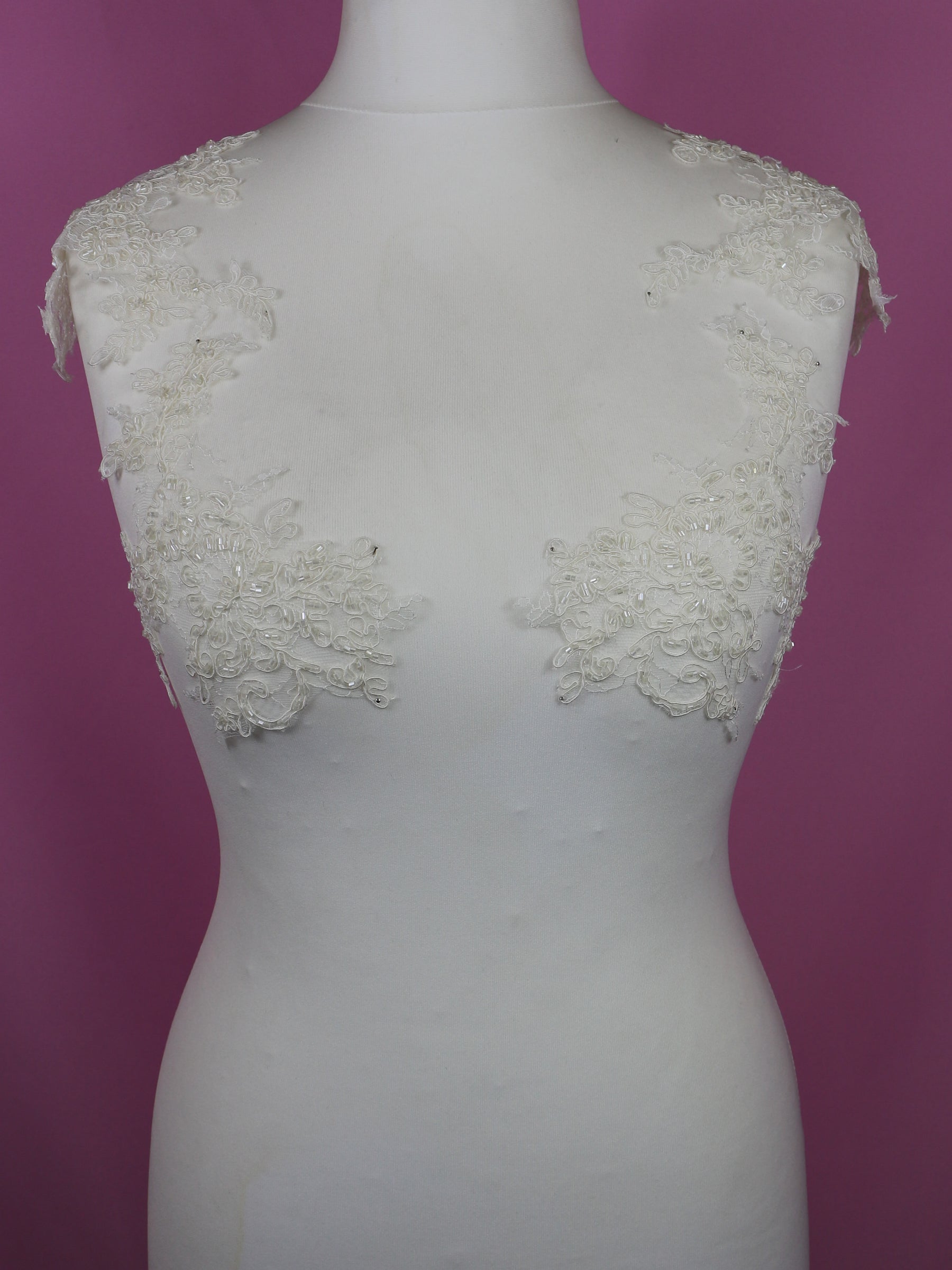 Ivory Corded and Beaded Lace Appliques - Michigan