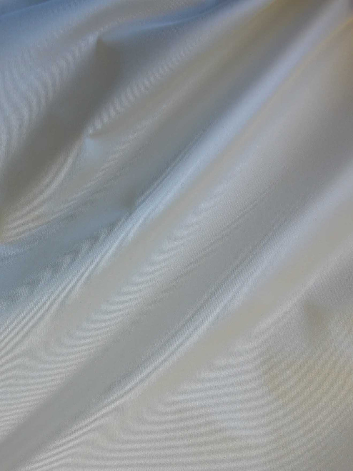 Ivory Silk Taffeta - Amour